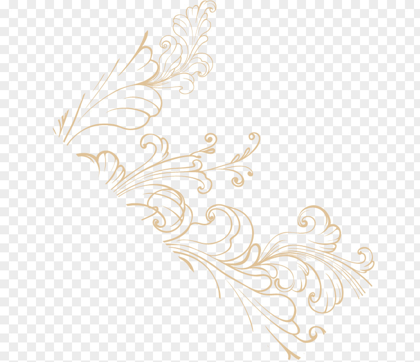 Wedding Ornament Feather Pattern PNG