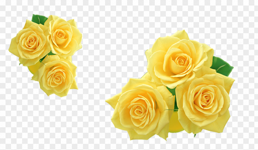 Yellow Rose Flower Clip Art PNG