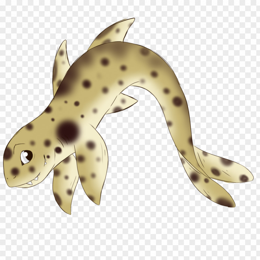 Amphibian Terrestrial Animal Fish PNG