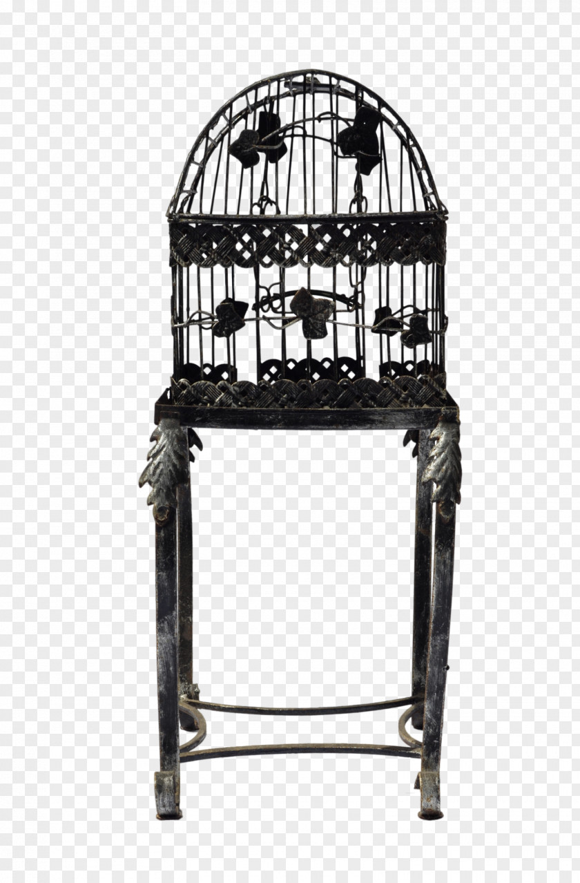 Bird Cage Stock Photography Metal DeviantArt PNG