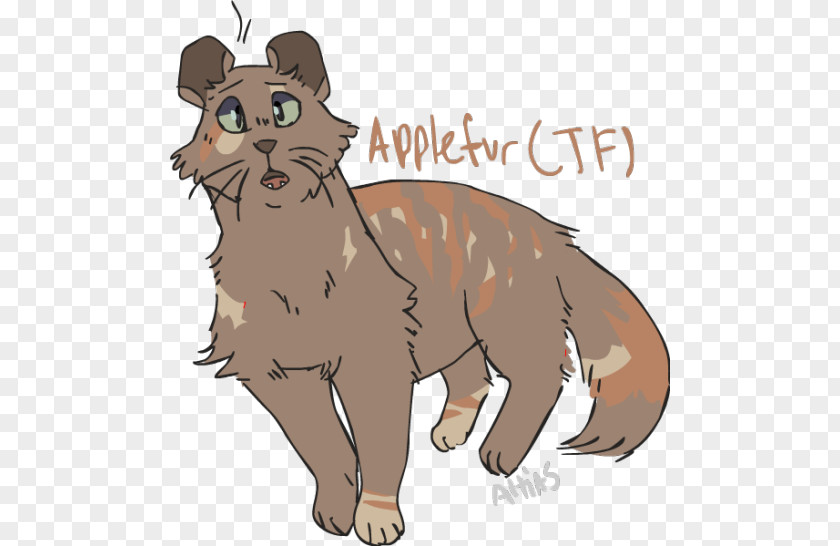Cat Whiskers Tabby Applefur Dog PNG