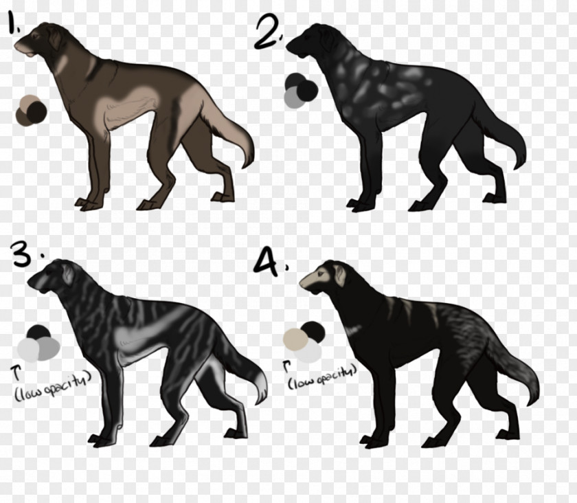 Dog Breed Cat Fauna Tail PNG