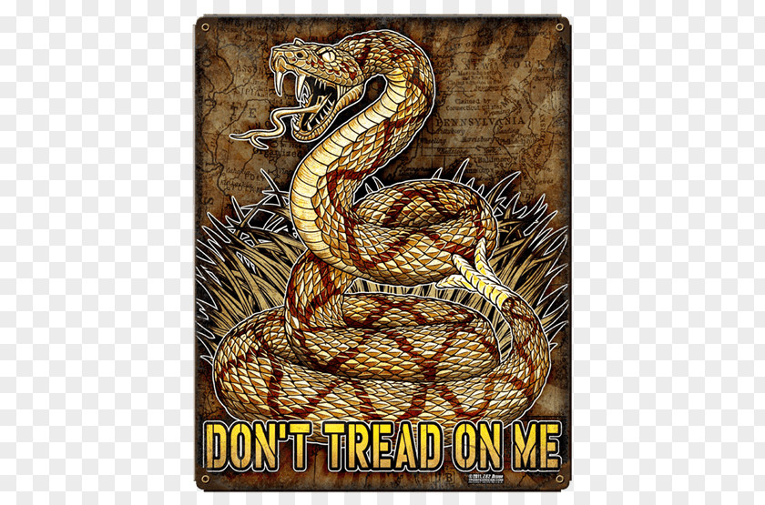 Don't Tread On Me Rattlesnake Gadsden Flag Military Second Amendment To The United States Constitution Michael PNG