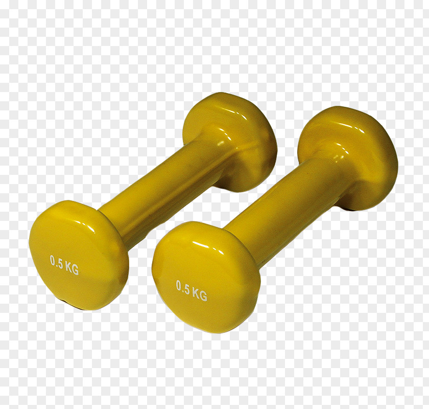 Dumbbell Yate Physical Fitness Weight Training Polyvinyl Chloride PNG