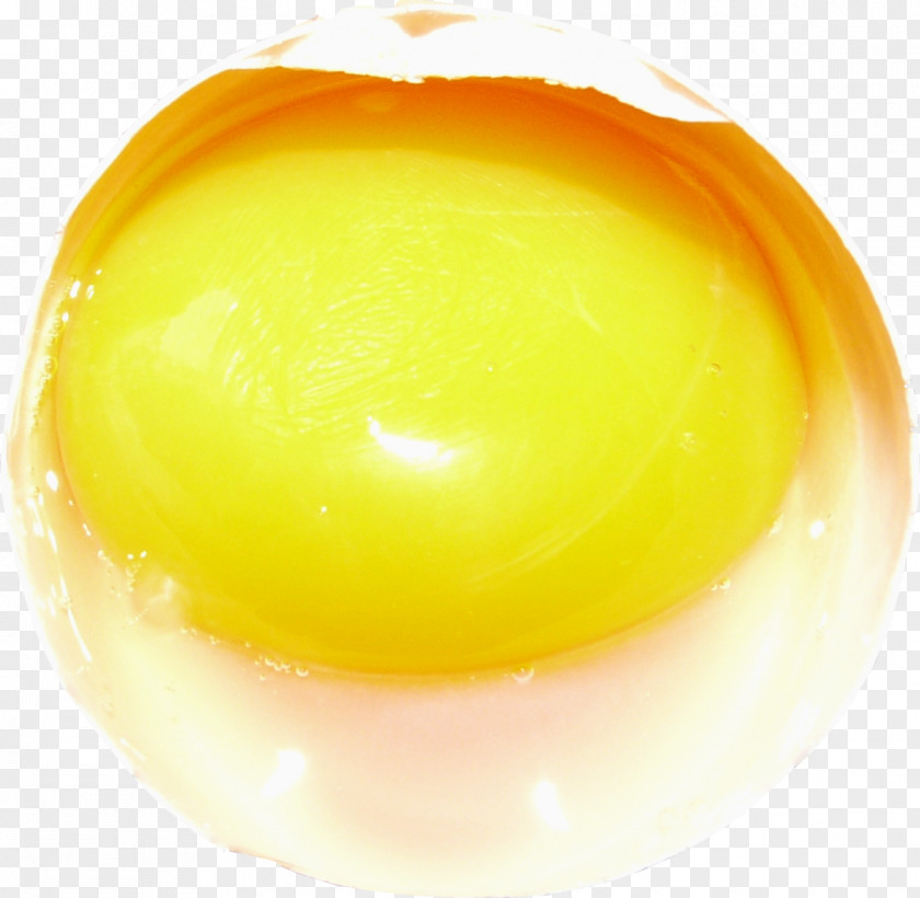 Egg Yolk Chicken White PNG