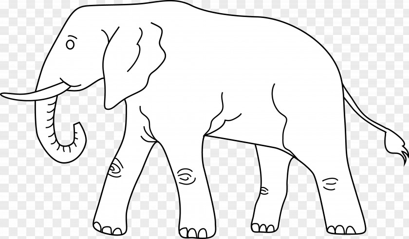 Elephants Elephant Line Art Drawing Clip PNG