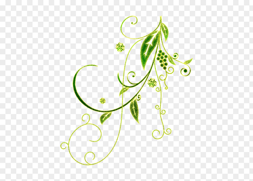 Flower Floral Design Vignette Clip Art PNG