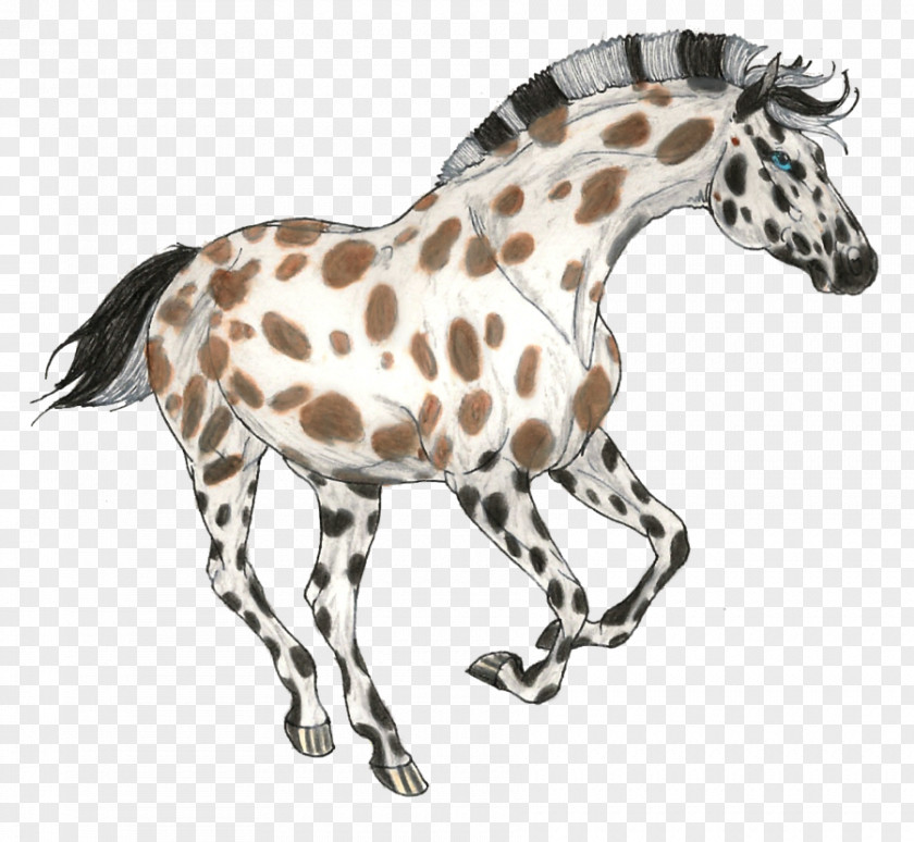 Giraffe Foal Mustang Arabian Horse Pony PNG