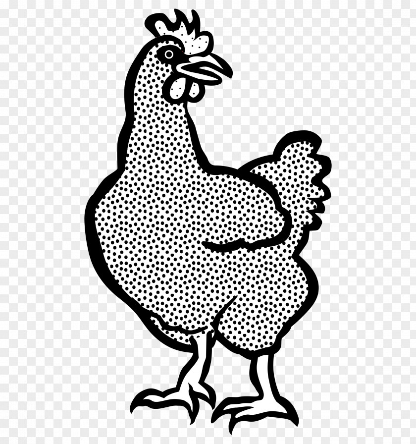 Hen Chicken Drawing Line Art Clip PNG
