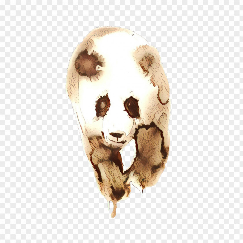 Skull Bone Dog PNG