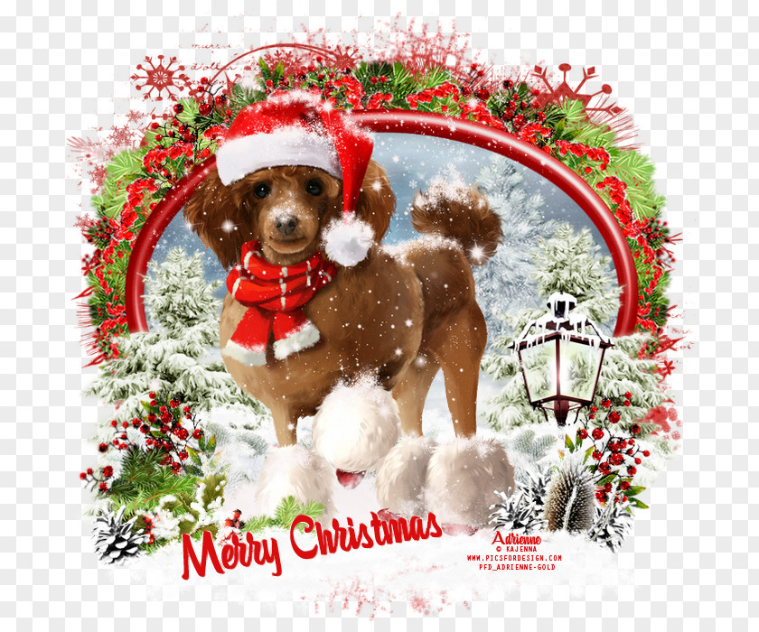 Snow Christmas Ornament Globes Dog Breed Puppy PNG