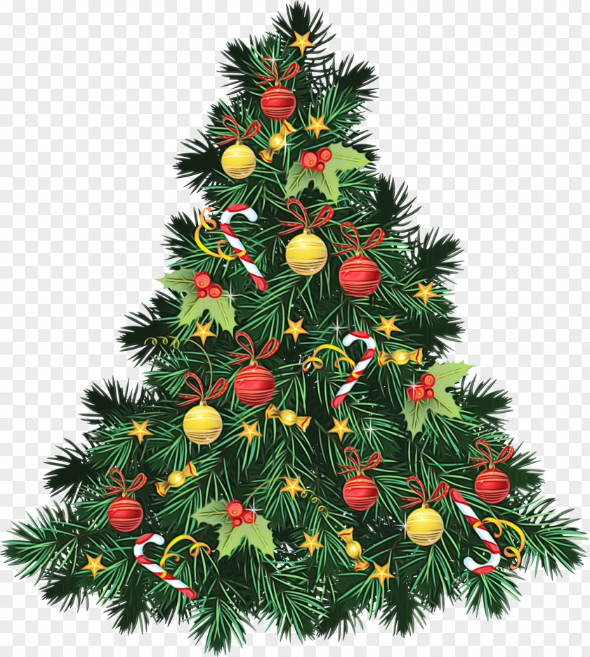 Christmas Tree PNG