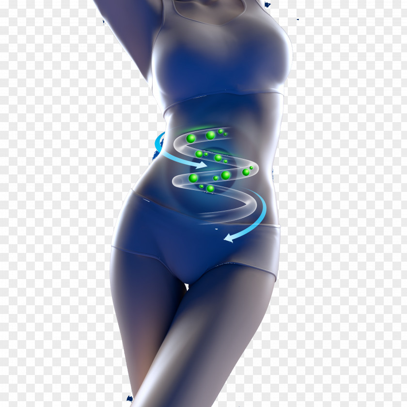 Creative Women Intestinal Weight Loss Advertising Definition Pictures Small Intestine Large PNG