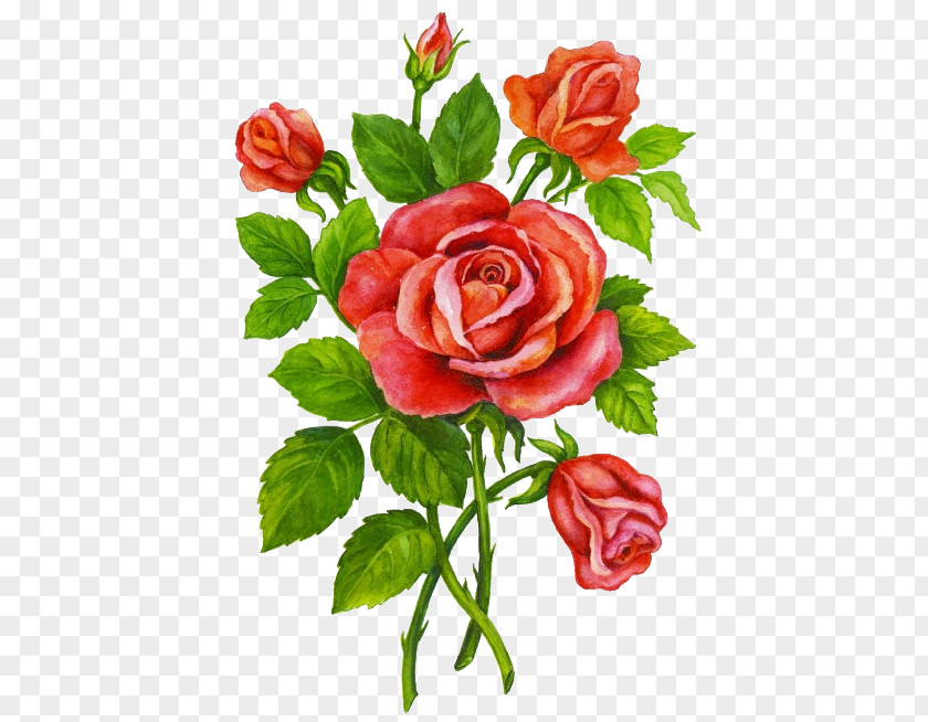 Flower Garden Roses Child Clip Art PNG