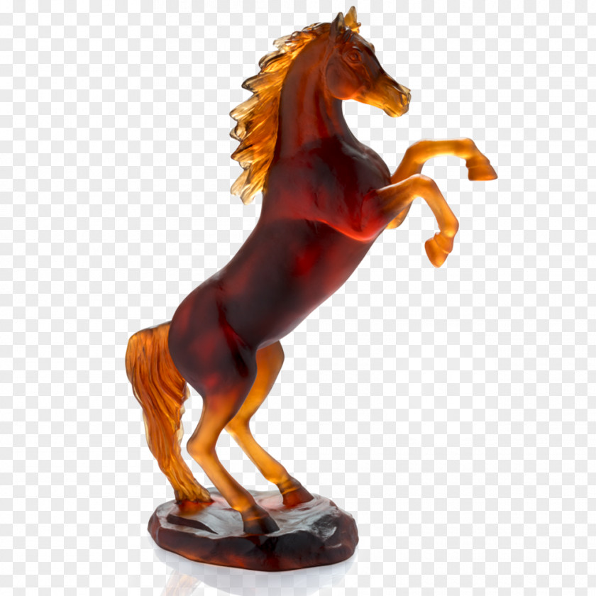 Mustang Arabian Horse Daum Appaloosa Rearing PNG