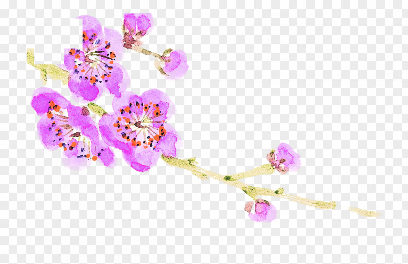 Painted Plum Blossom Flower PNG