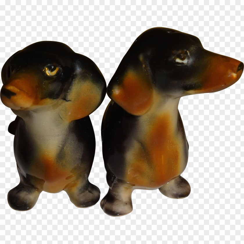 Puppy Dachshund Dog Breed Canidae Snout PNG