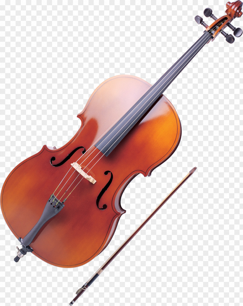 Violin Ukulele Musical Instruments String Cello PNG