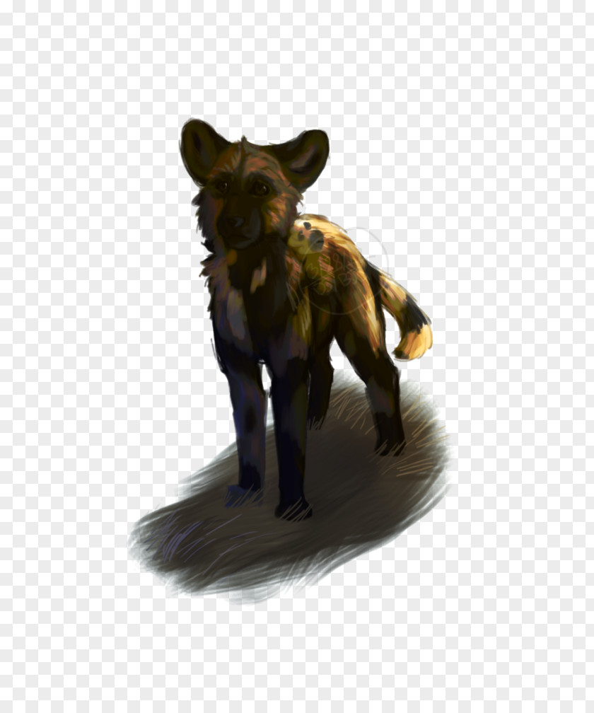 Wild Dog Canidae Fur Snout Mammal PNG