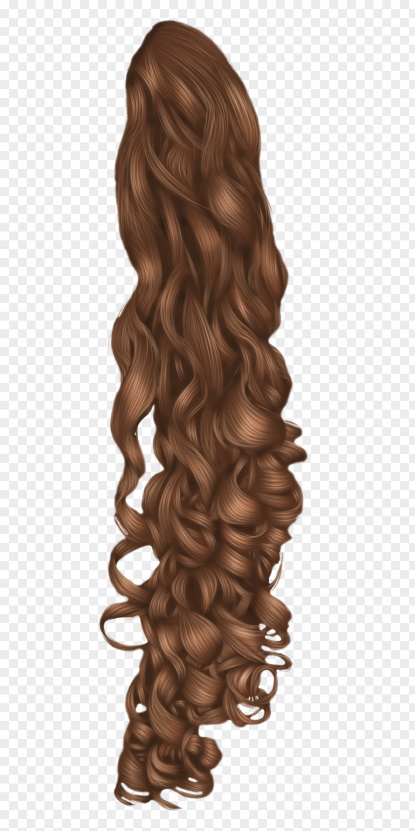 Curly Black Hair Wig Hairstyle PNG