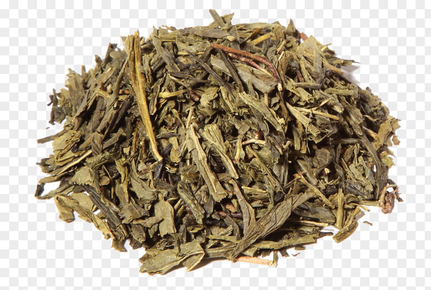Green Tea Bancha Sencha White PNG