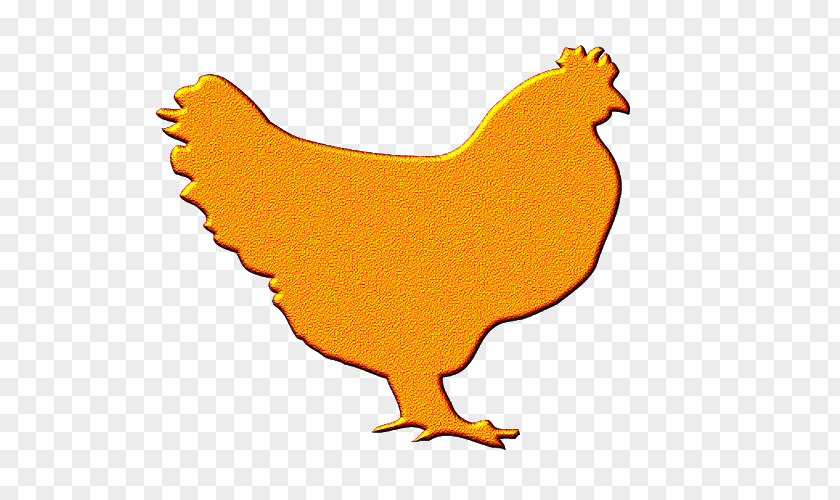 Hen Chicken Yellow Rooster Galliformes Clip Art PNG