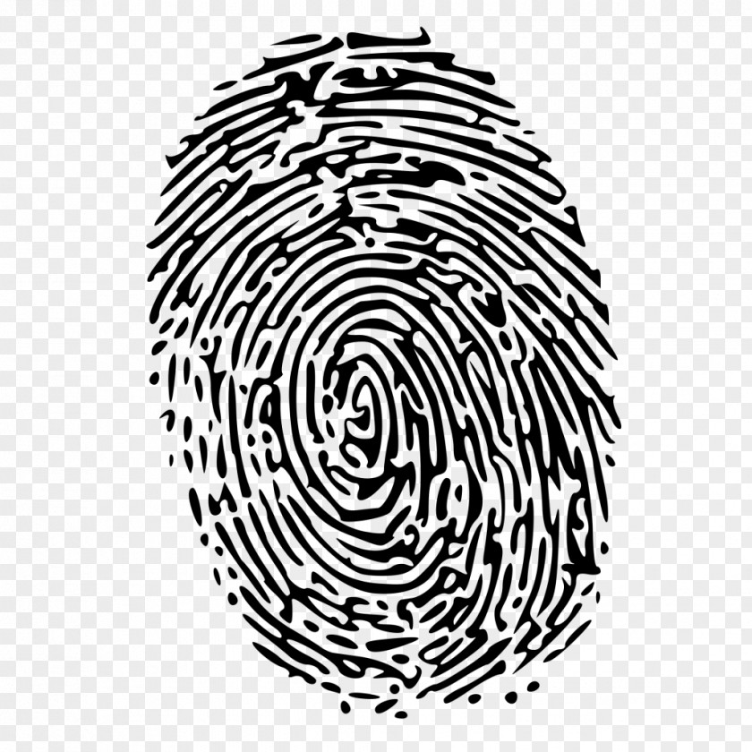 Magnifying Fingerprint Forensic Science Clip Art PNG