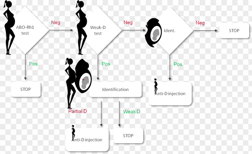 Newborns Rho(D) Immune Globulin Rh Blood Group System Antigen Pregnancy Antibody PNG