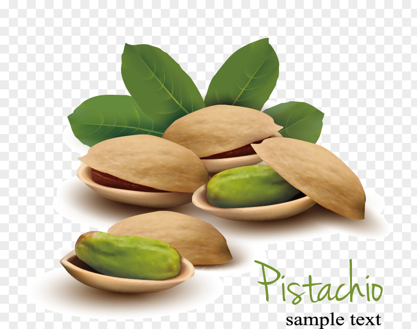 Pistachios Vector Pistachio Nut Euclidean Illustration PNG