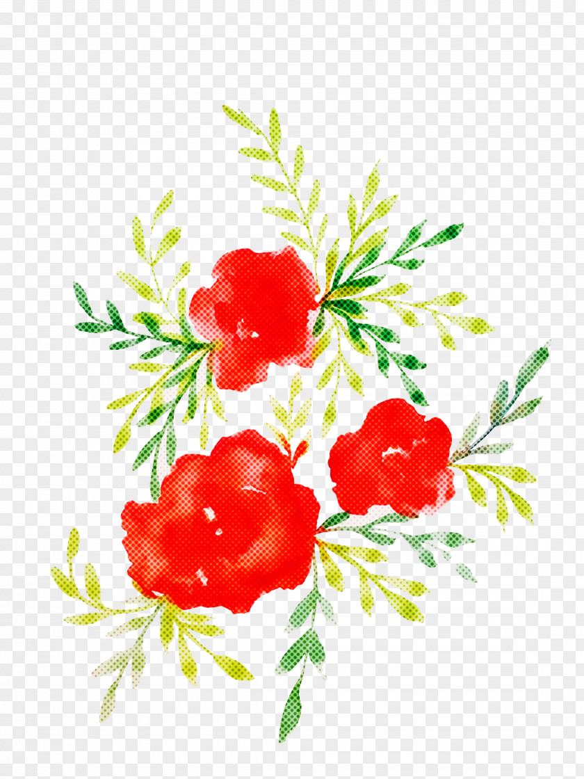 Plant Branch Berry Tree Flower PNG