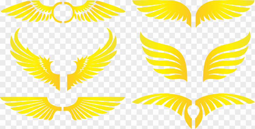 Yellow Wings Petal Clip Art PNG