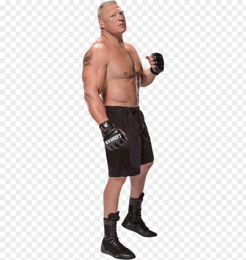 Brock Lesnar SummerSlam WWE Universal Championship Professional Wrestler 2K14 PNG 2K14, brock lesnar clipart PNG