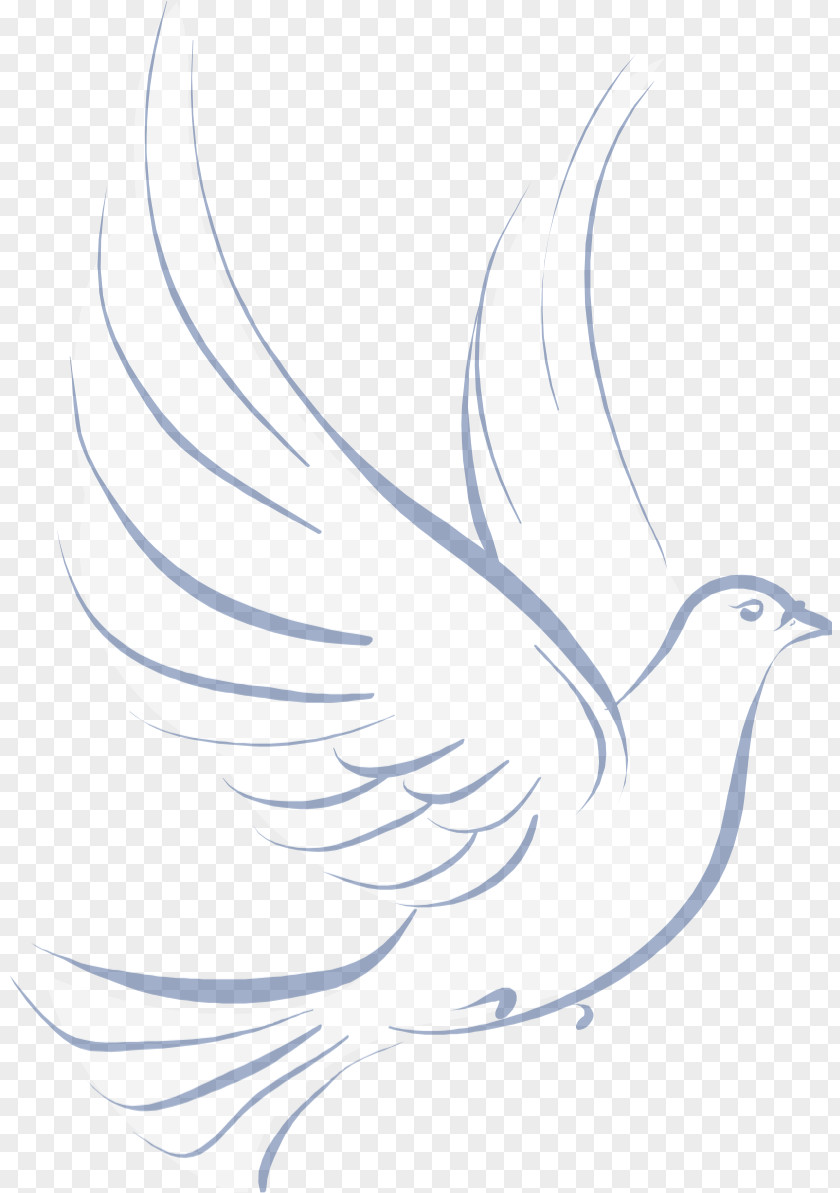 Columbidae Stencil Drawing Doves As Symbols Clip Art PNG