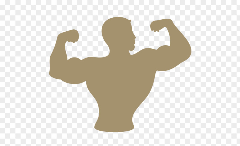Gesture Silhouette Bodybuilding Arm Shoulder Muscle Joint PNG