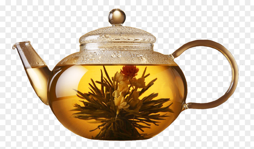 Transparent Tea Kettle Green Coffee Flowering PNG