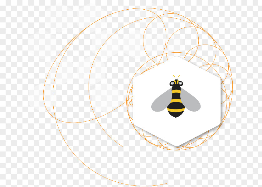 Bee Hive Insect Pollinator Material PNG