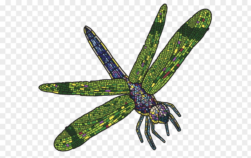Dragonfly Insect Butterfly Pollinator Invertebrate PNG
