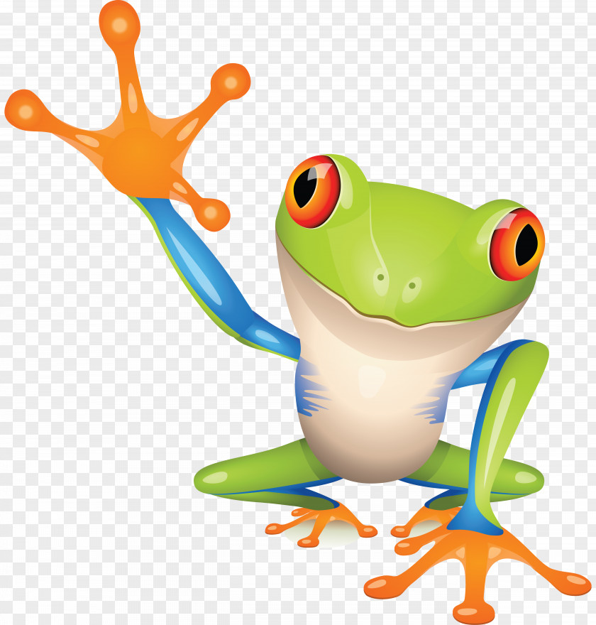 Frog Australian Green Tree Clip Art PNG