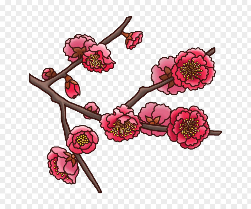 Plum Flower Blossom Floral Design U5bd2 PNG