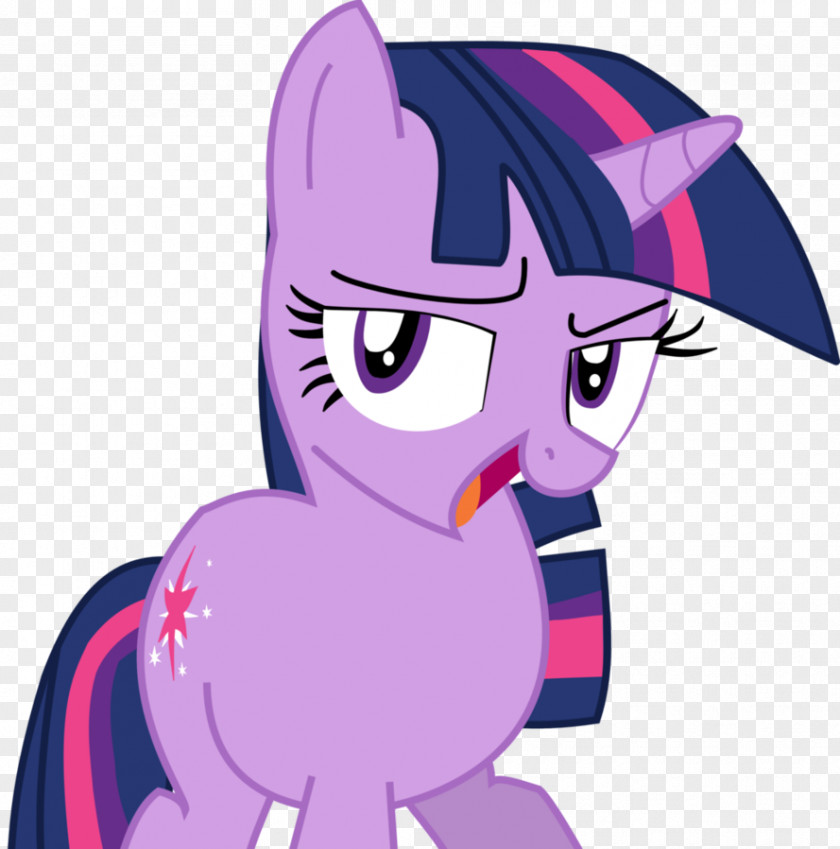 Six Vector Twilight Sparkle Pony Rainbow Dash Welcome To The Crystal Empire! DeviantArt PNG