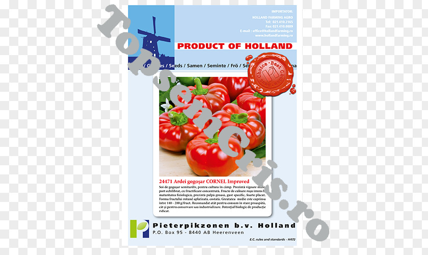 Tomato Local Food Advertising Natural Foods PNG