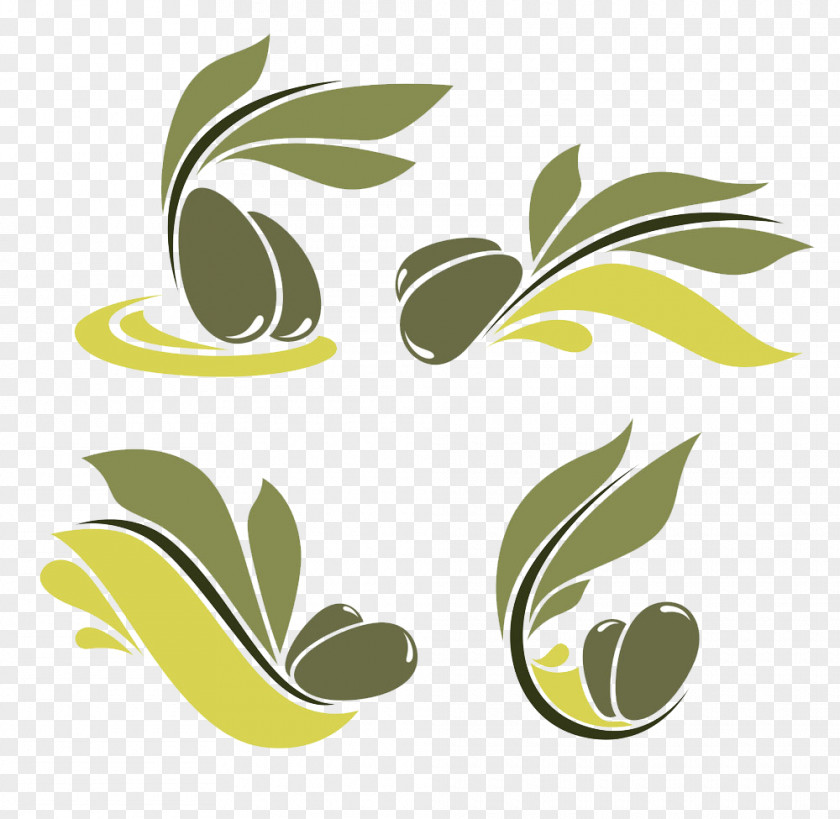 Cartoon Olive Logo Oil Tree PNG