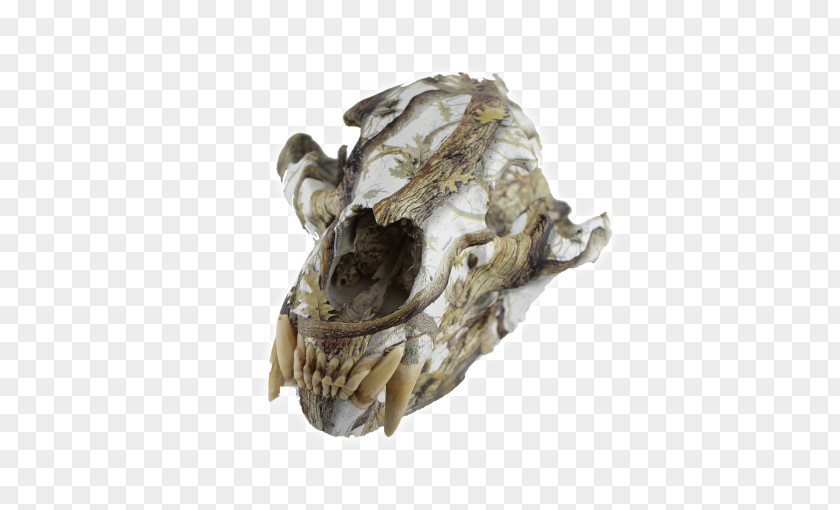 Skull Animal Covering Infinity Finishes Jaw White-tailed Deer PNG