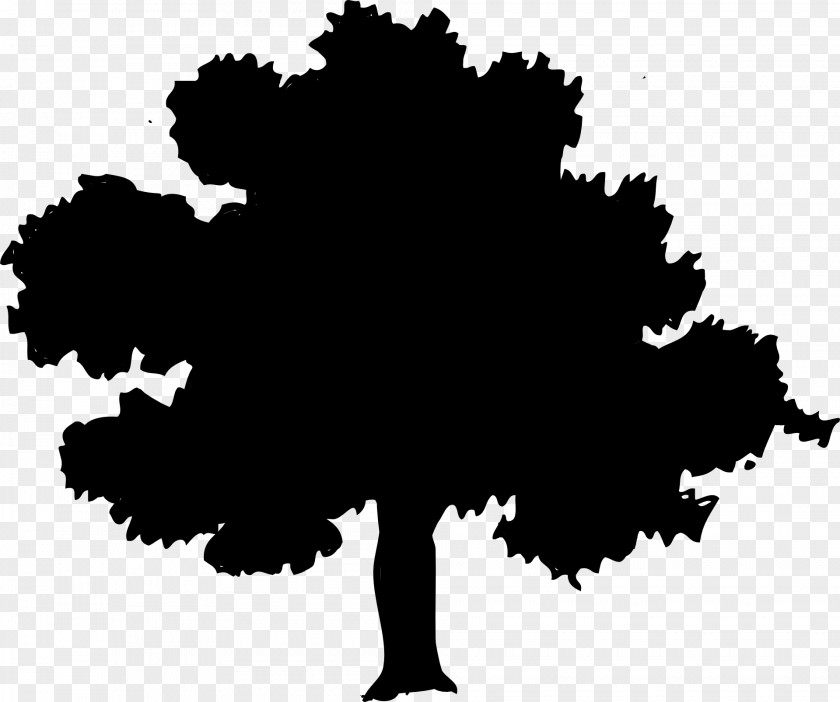 Tree Clip Art PNG