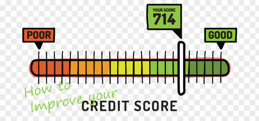 Credit Card History Score Student Loan PNG