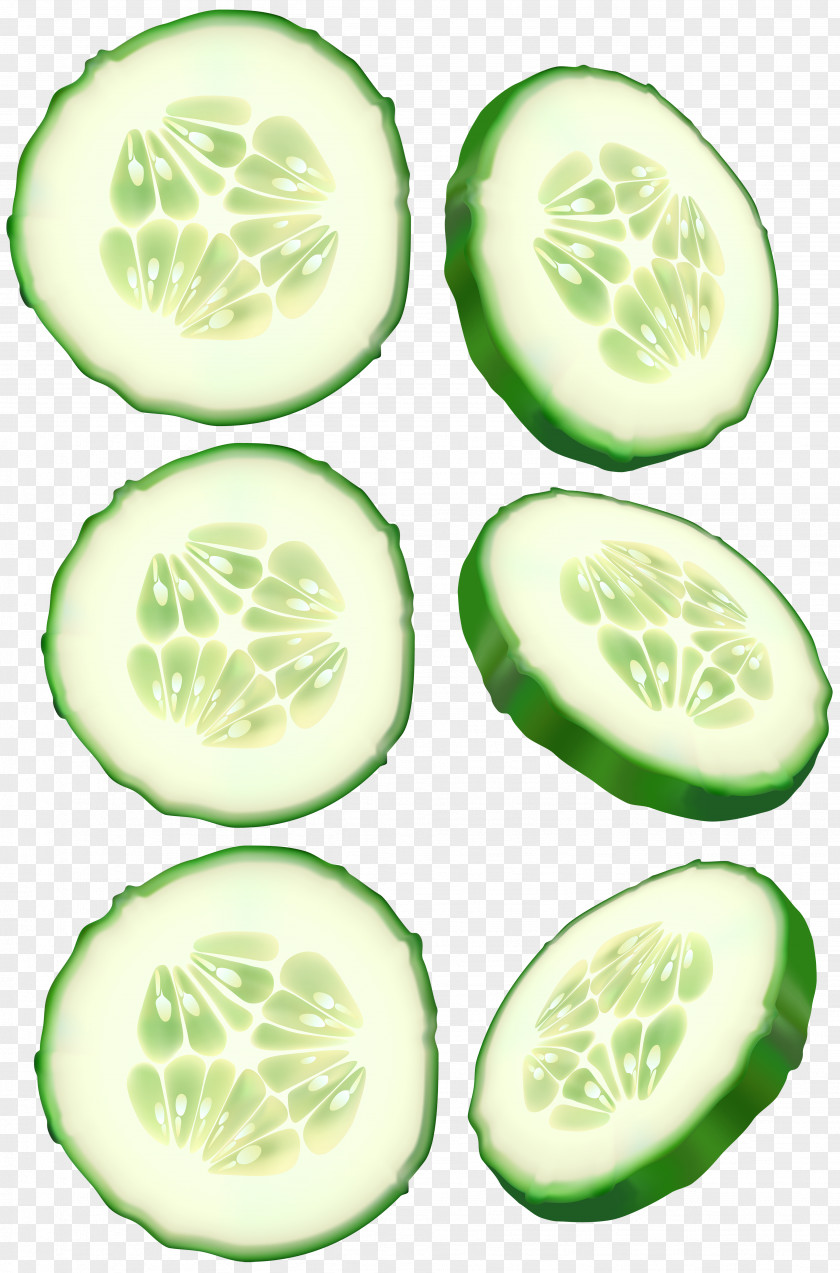Cucumber Clip Art PNG