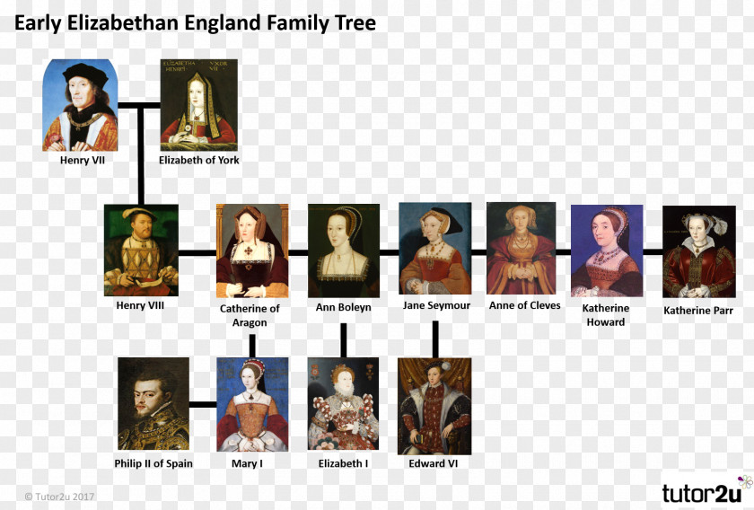 Family Tree England Elizabethan Era House Of Tudor Extended PNG