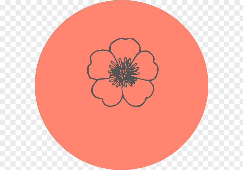 Flower Coloring Book Adult Page PNG