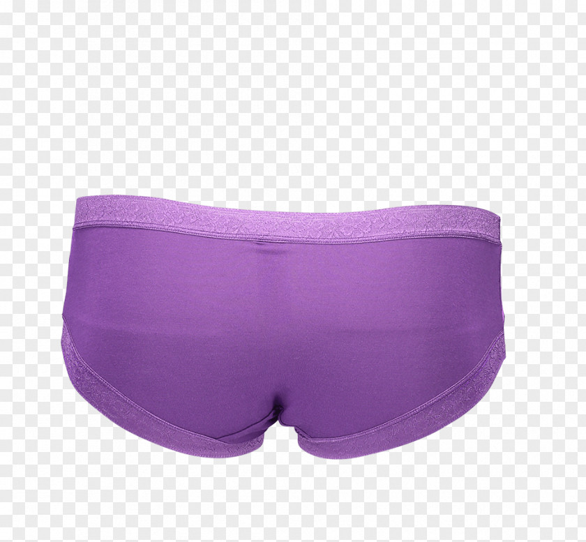 Liliac Swim Briefs Trunks Underpants PNG