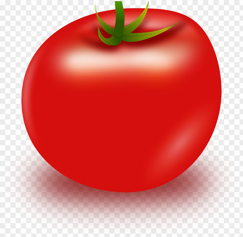 Tomato Soup Clip Art PNG